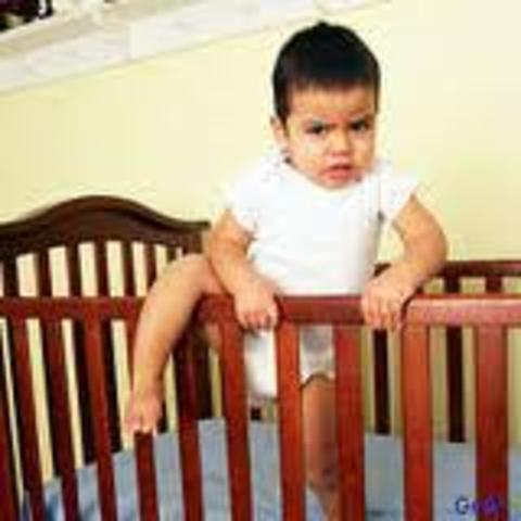 24 Months - 30 months