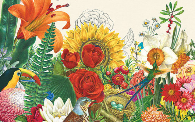 Publication of Rachel Carlsons Silent Spring