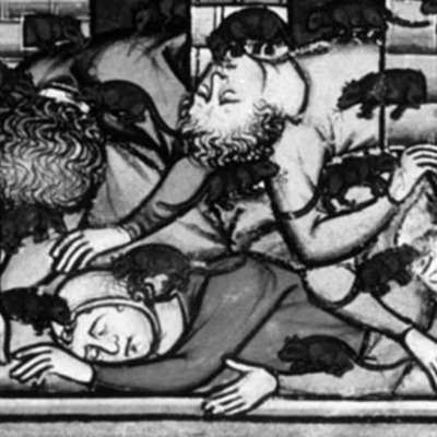 Timeline: The Bubonic Plague