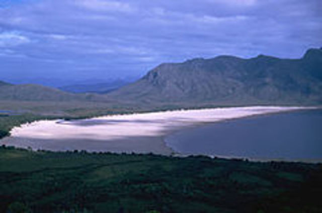 Campaign to save Lake Pedder fails.