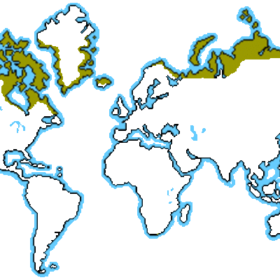 Timeline: Changes to the Tundra