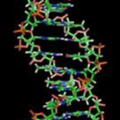 Timeline: DNA Timeline