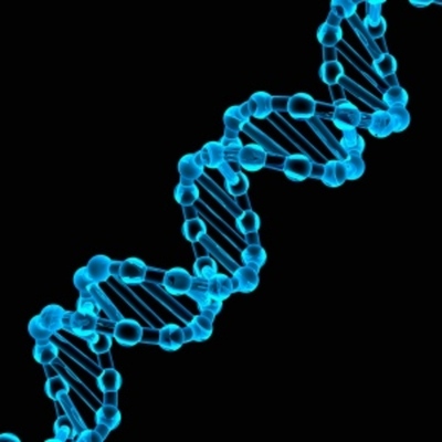 Timeline: The Genetic Material Timeline