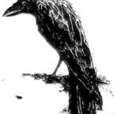 Timeline: Edgar allen poe nikolas krieg