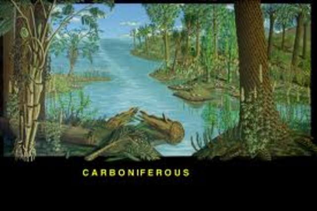 Carboniferous Period