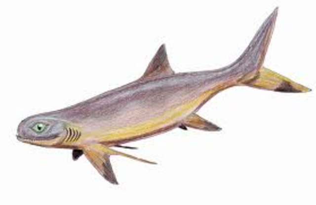 Mississippian period