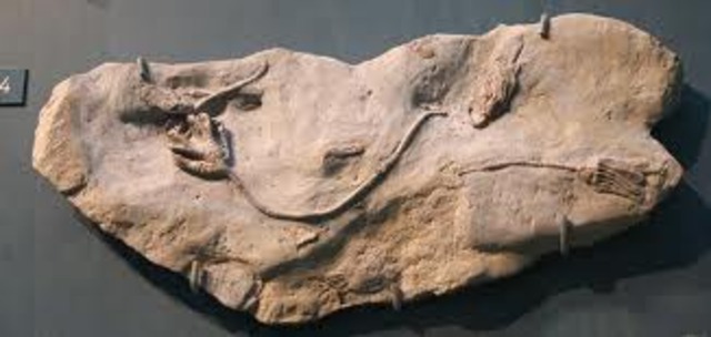 Mississippian Period