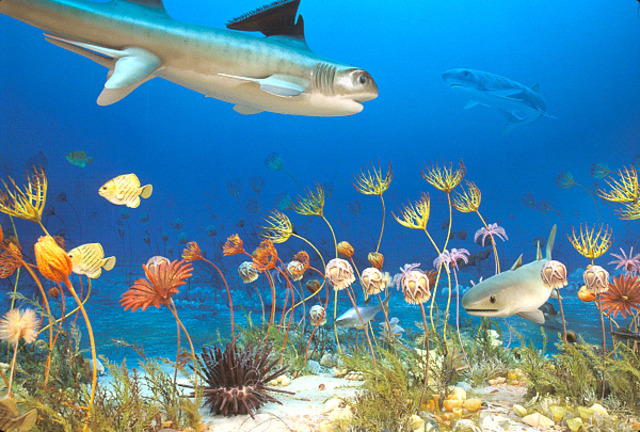 Mississippian period