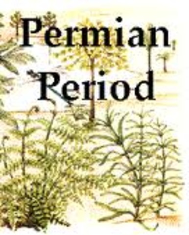 Permian Period