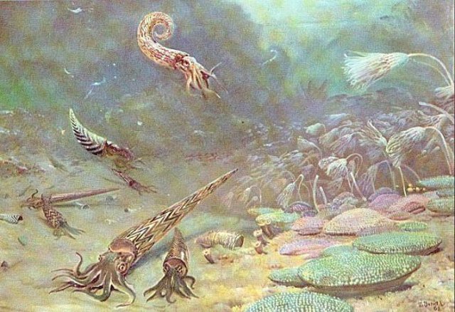 Start of the Silurian period