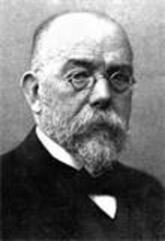 Robert koch