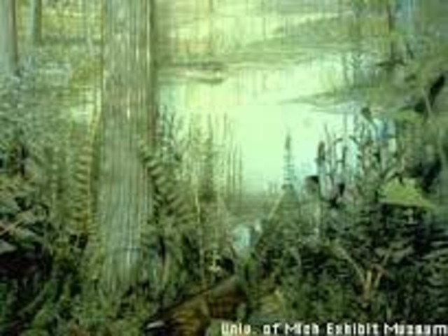 Carboniferous Pennsylvanian time