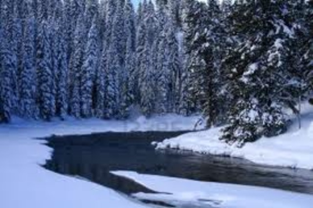 Winter on the Pacific