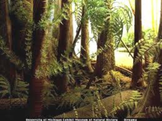 Carboniferous/Mississippian period