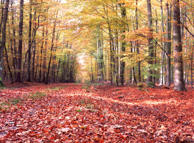 I got a little sister!!