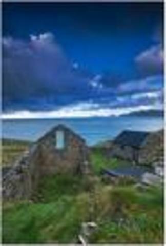 The Beginning of the Potato Famine