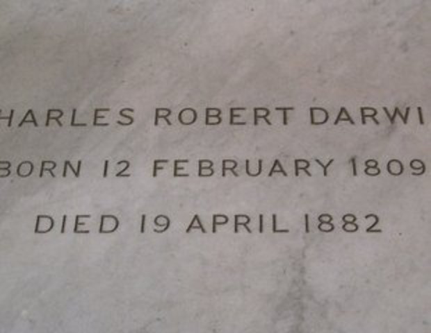 Dies in Downe, England