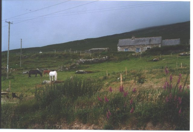 Begging of the Potato Famine