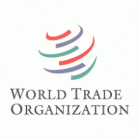 First WTO Meeting - held in Singapore