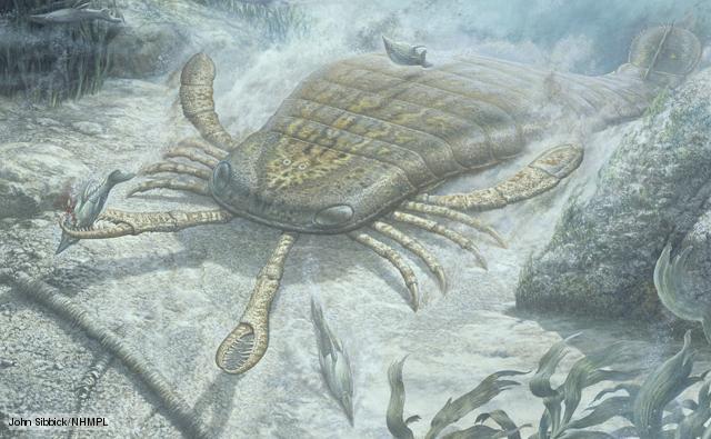 silurian period