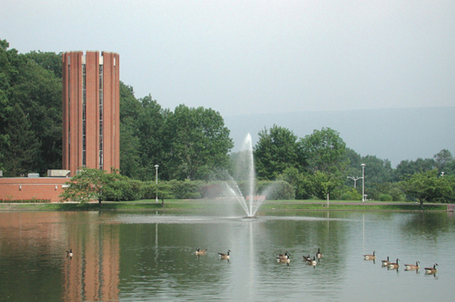 Switching Schools and Switching Majors