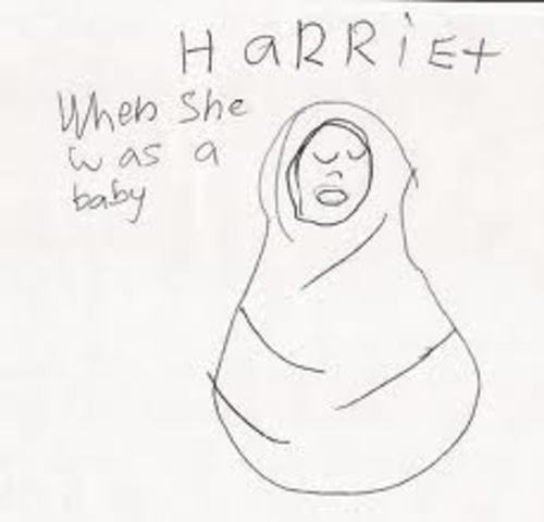 Born A Maryland Slave