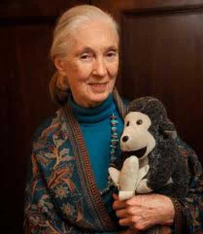 Where it all started