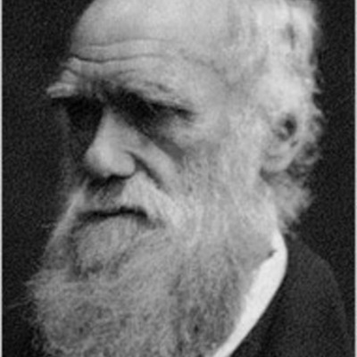 Timeline: Timeline of Charles Darwin