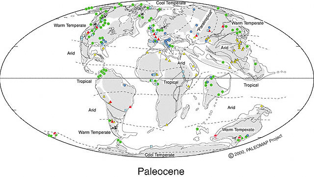 Cenozoic / Tertiary / Paleocene 7:00am