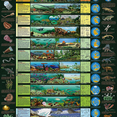 Timeline: Geological Time Scale