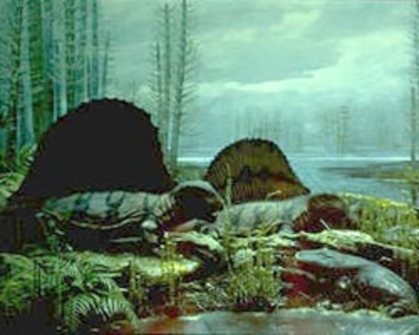 Pennsylvanian period