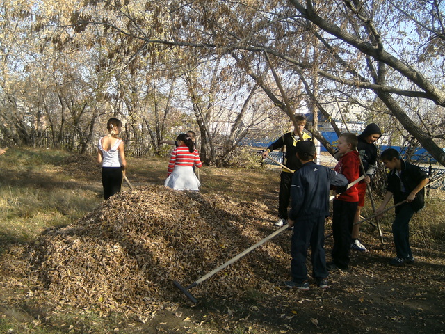 Традиционный субботник