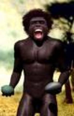 homo erectus