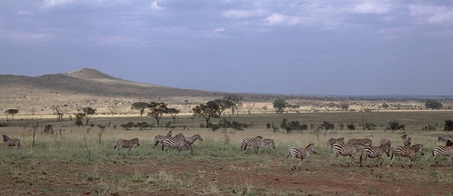 Cenozoic / Tertiary / Pliocene 8:00pm