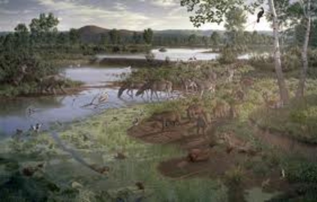 Pliocene Epoch (8:00 pm)