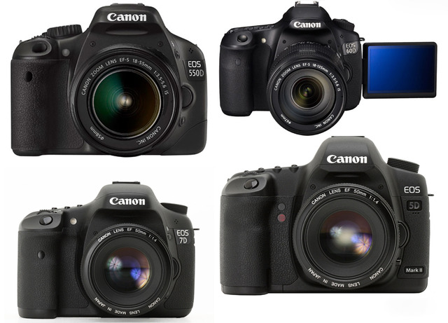 Professional Photographer