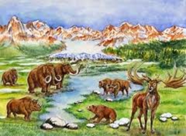 Pleistocene epoch (11:30 pm)