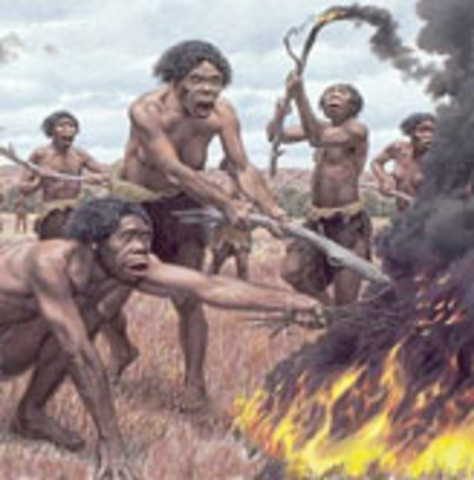 pleistocene 11:30 P.M.