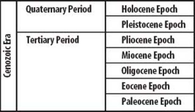 Tertiary and Quaternary periods