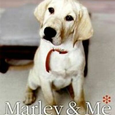 Timeline: Marley & Me,John Grogan. 1-281