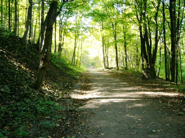 Gone camping...Again!