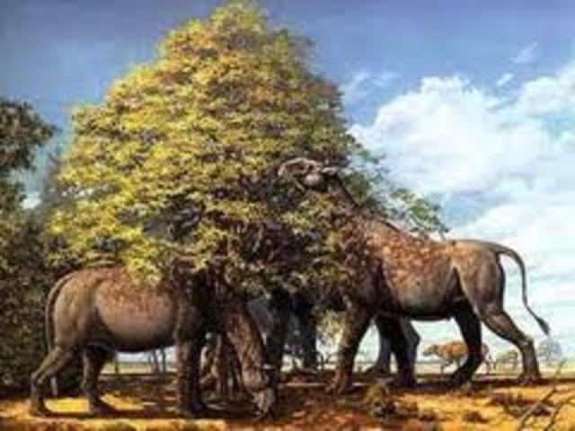 12 p.m. Oligocene Epoch