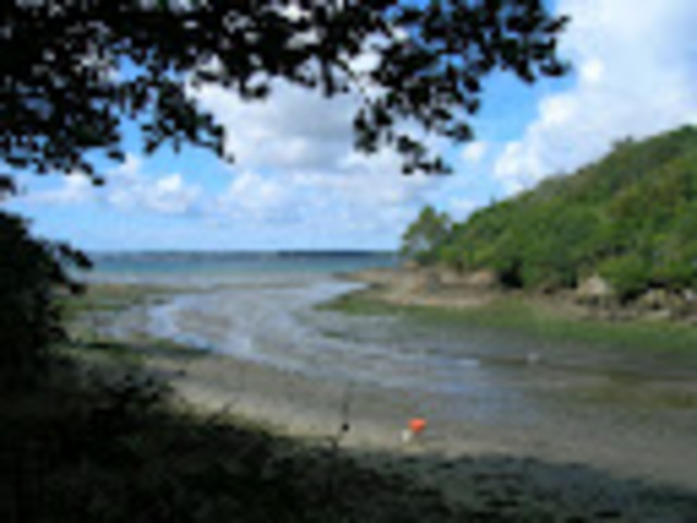 Enseigner autrement pour une gestion durable de l'eau, quelles approches pédagogiques ?