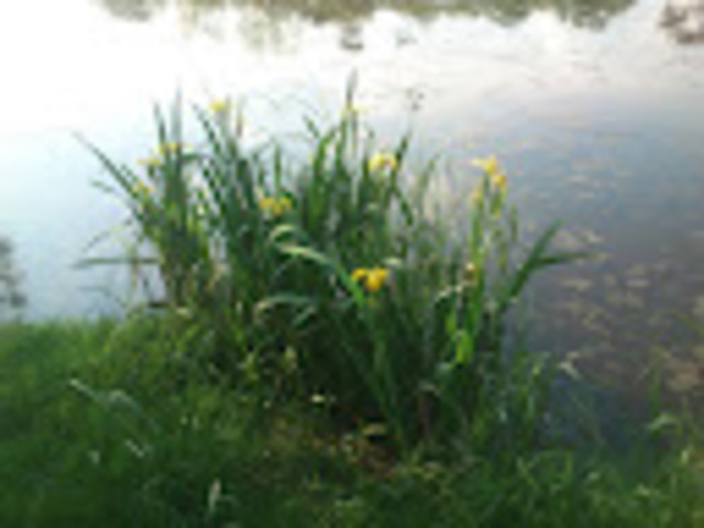 Enseigner autrement le développement durable