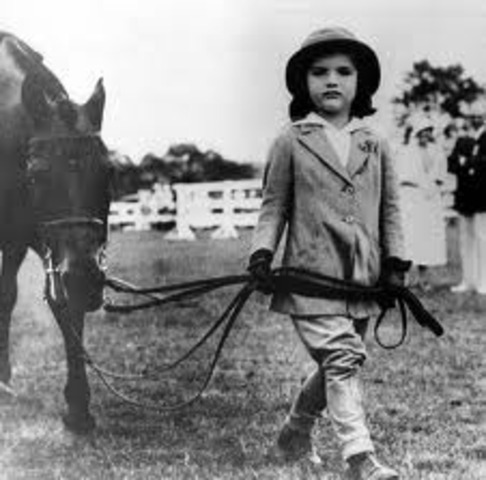 Learned how to ride horses