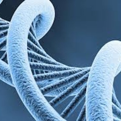 Timeline: DNA time line