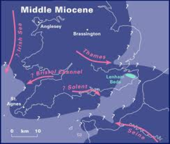 Miocene Period 1:00pm
