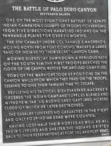 Battle of Duro Canyon