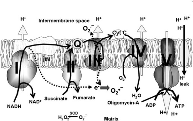 ELECTRON PASSES THROUGH ETC