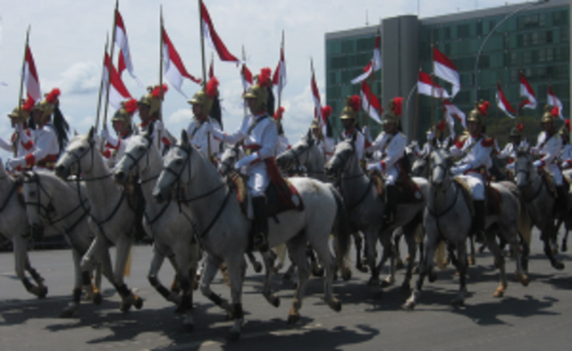 Brazil's independence from portugal